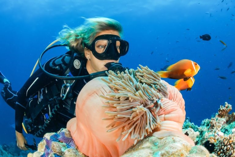 Scuba diver looking at coral