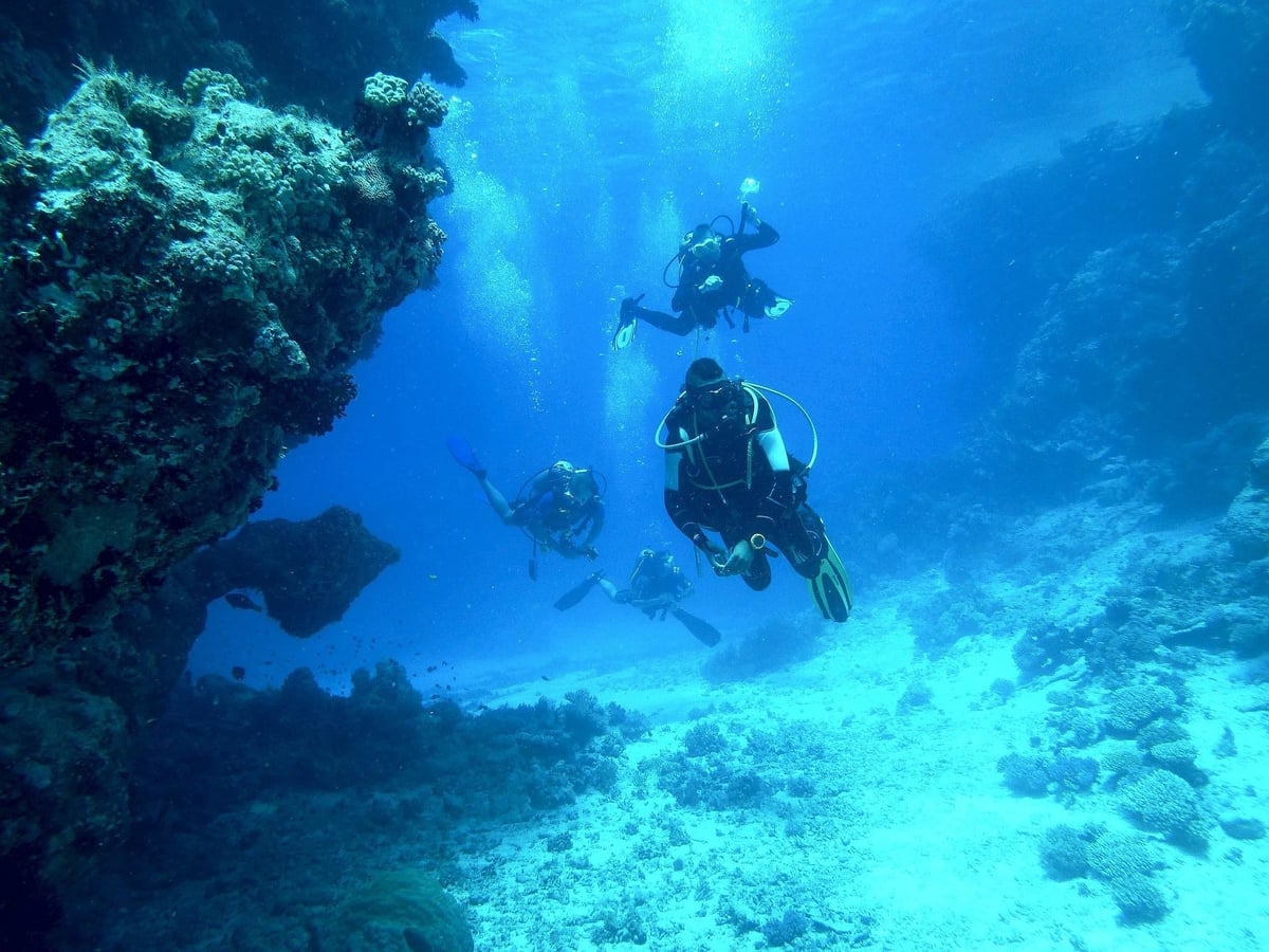 Scuba divers underwater